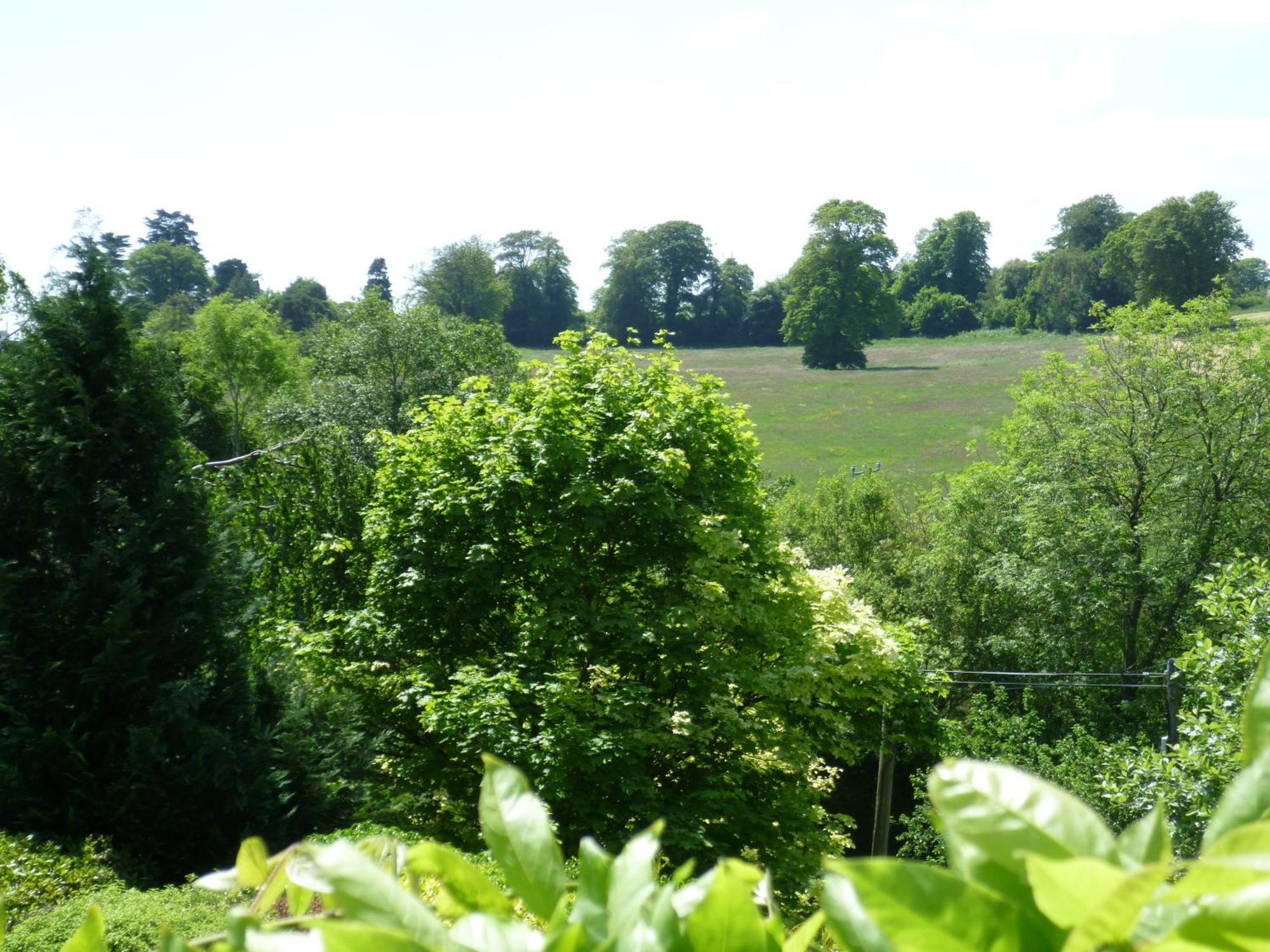 Diamond Hill Country House Waterford Exteriér fotografie