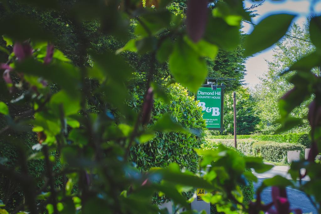 Diamond Hill Country House Waterford Exteriér fotografie