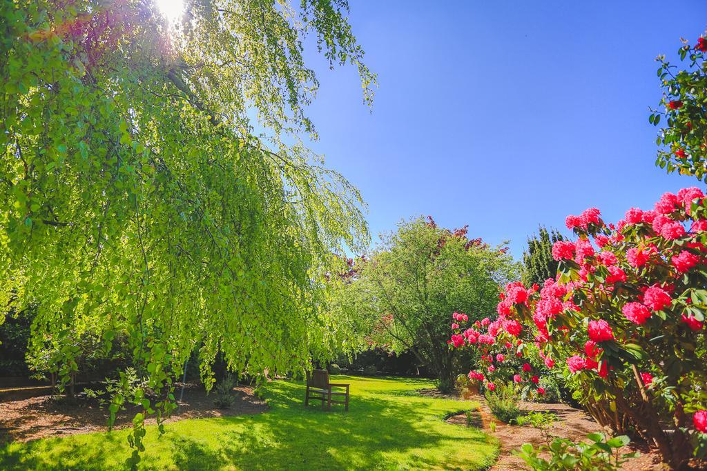 Diamond Hill Country House Waterford Exteriér fotografie